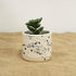 Mini Splatter Handmade Ceramic Plant Pot 8cm