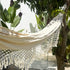 Cream Cotton Single Hammock