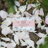 Petal and Wild | English Rose Soap Bar 190g