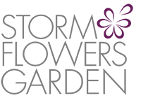 Storm Flowers Garden