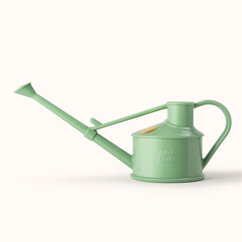 Langley Sprinker One Pint Watering Can (Sage Green)