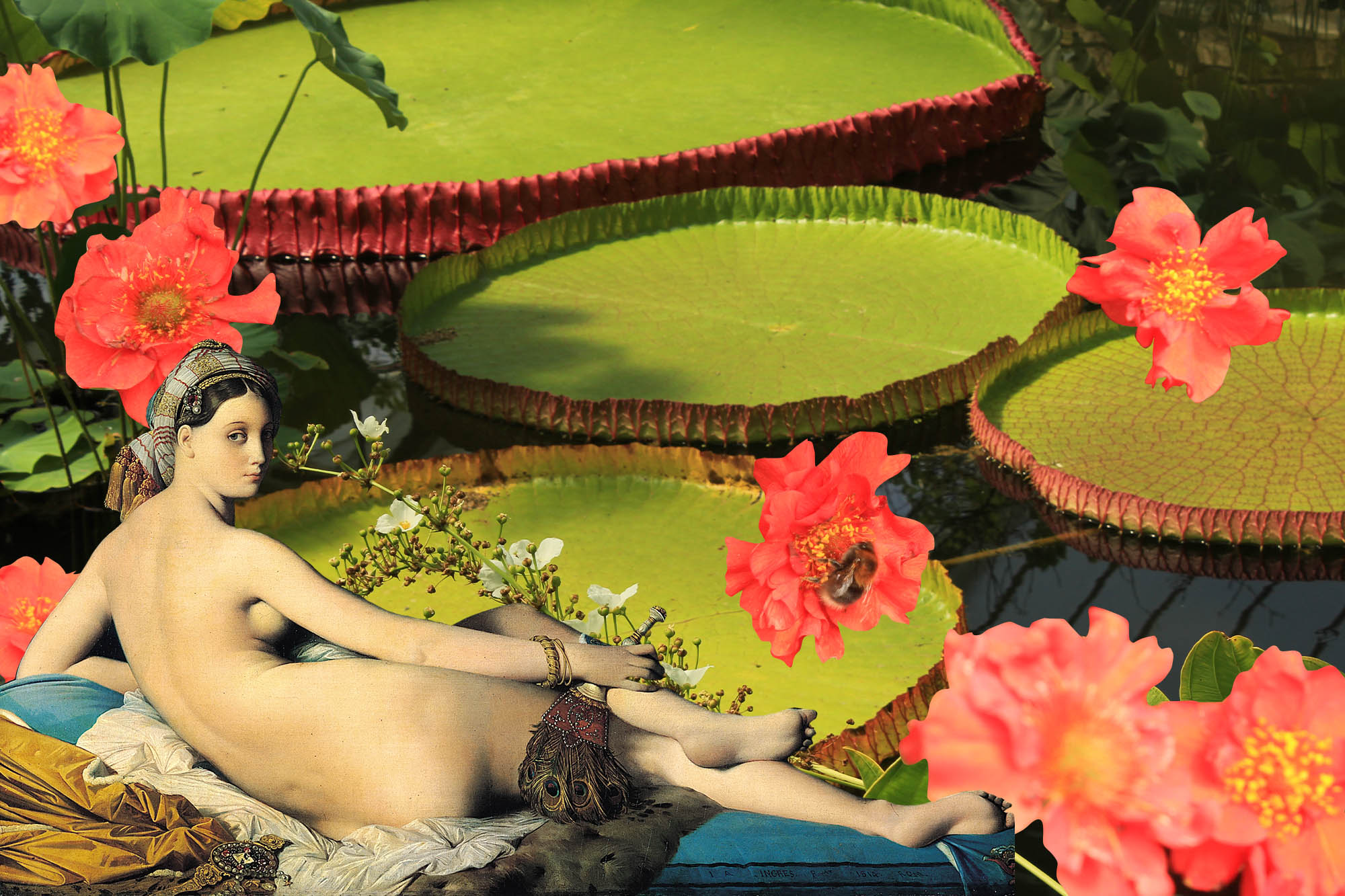 World Naked Gardening Day – Storm Flowers Garden