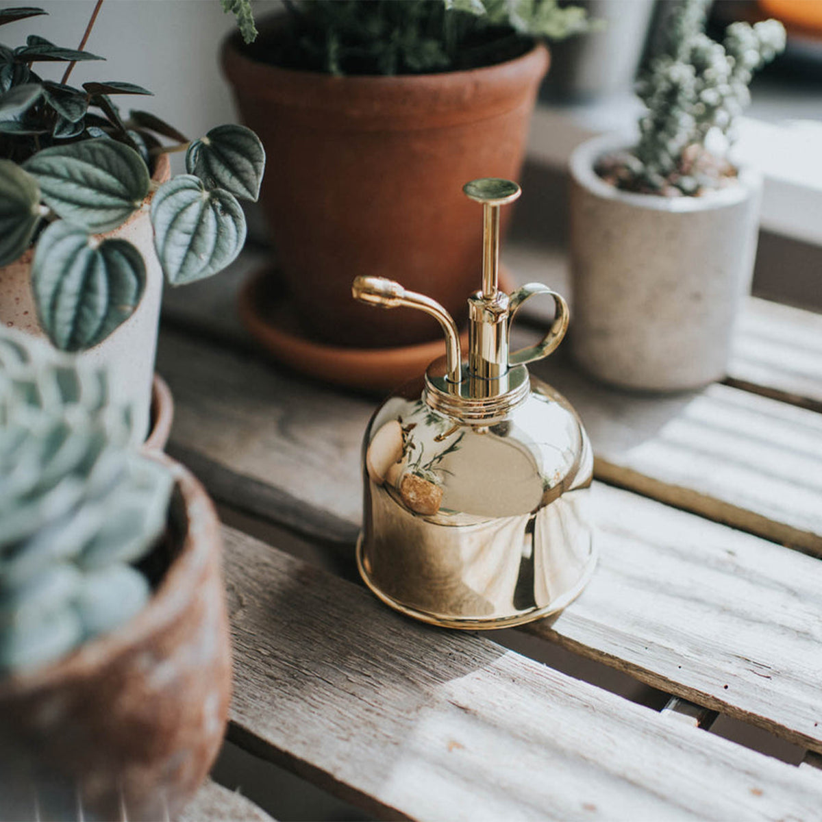 Smethwick Spritzer Half Pint Plant Mister (Brass) – Storm Flowers Garden